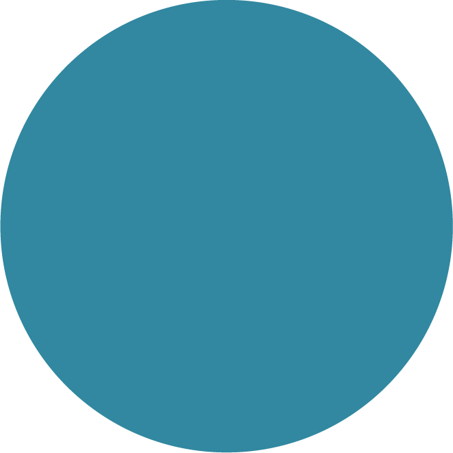 Icon 13